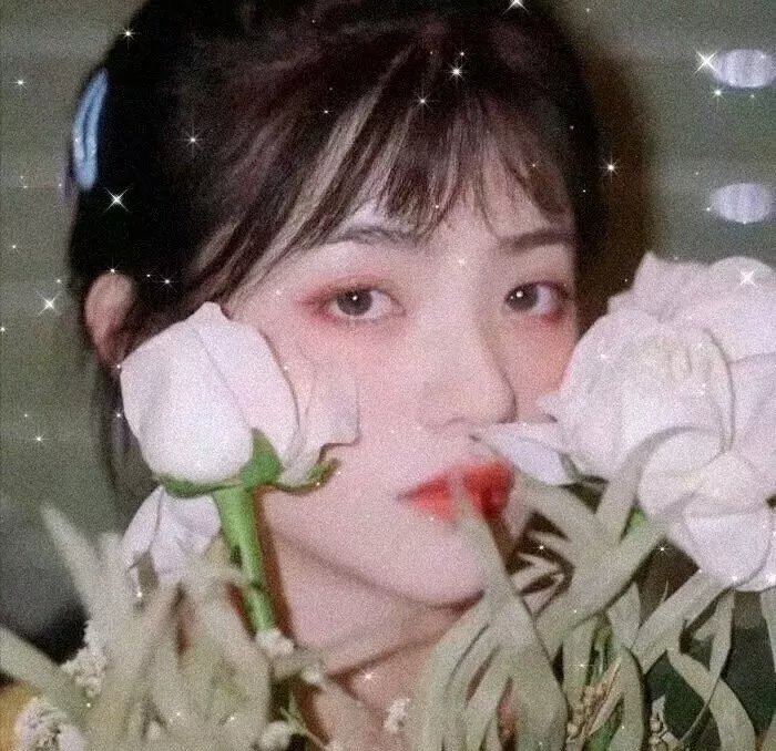丛林少女之重启