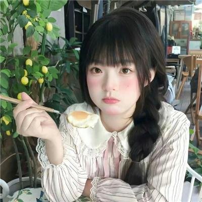 梦之森林